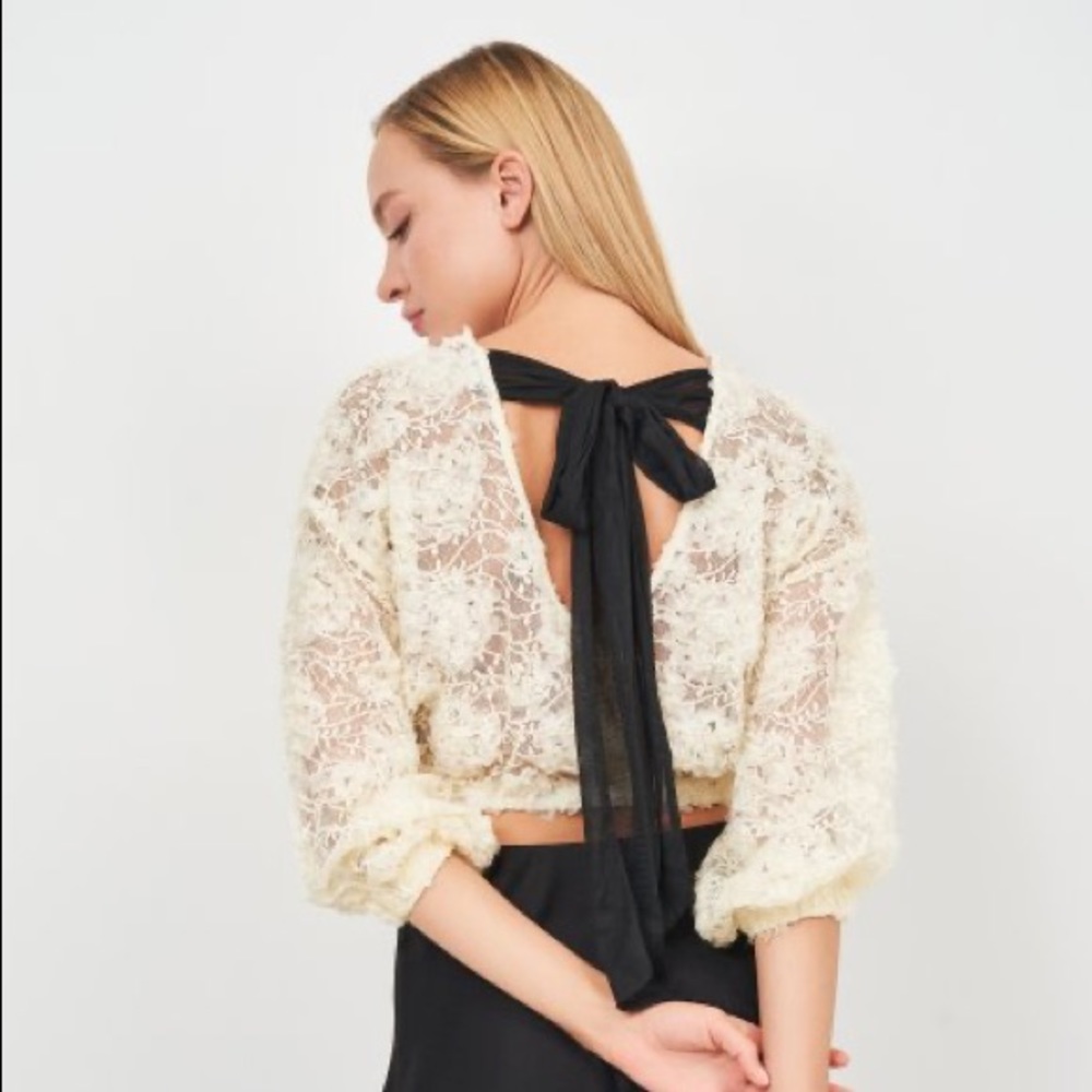 NWT Zara Organza Lace Shirt - Picture 4 of 11